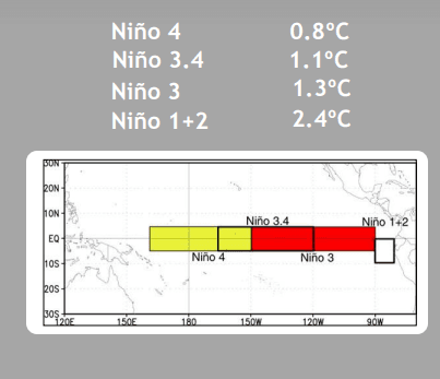NINO 1 (1).PNG June 27