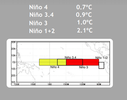 NINO 1.PNG june 20